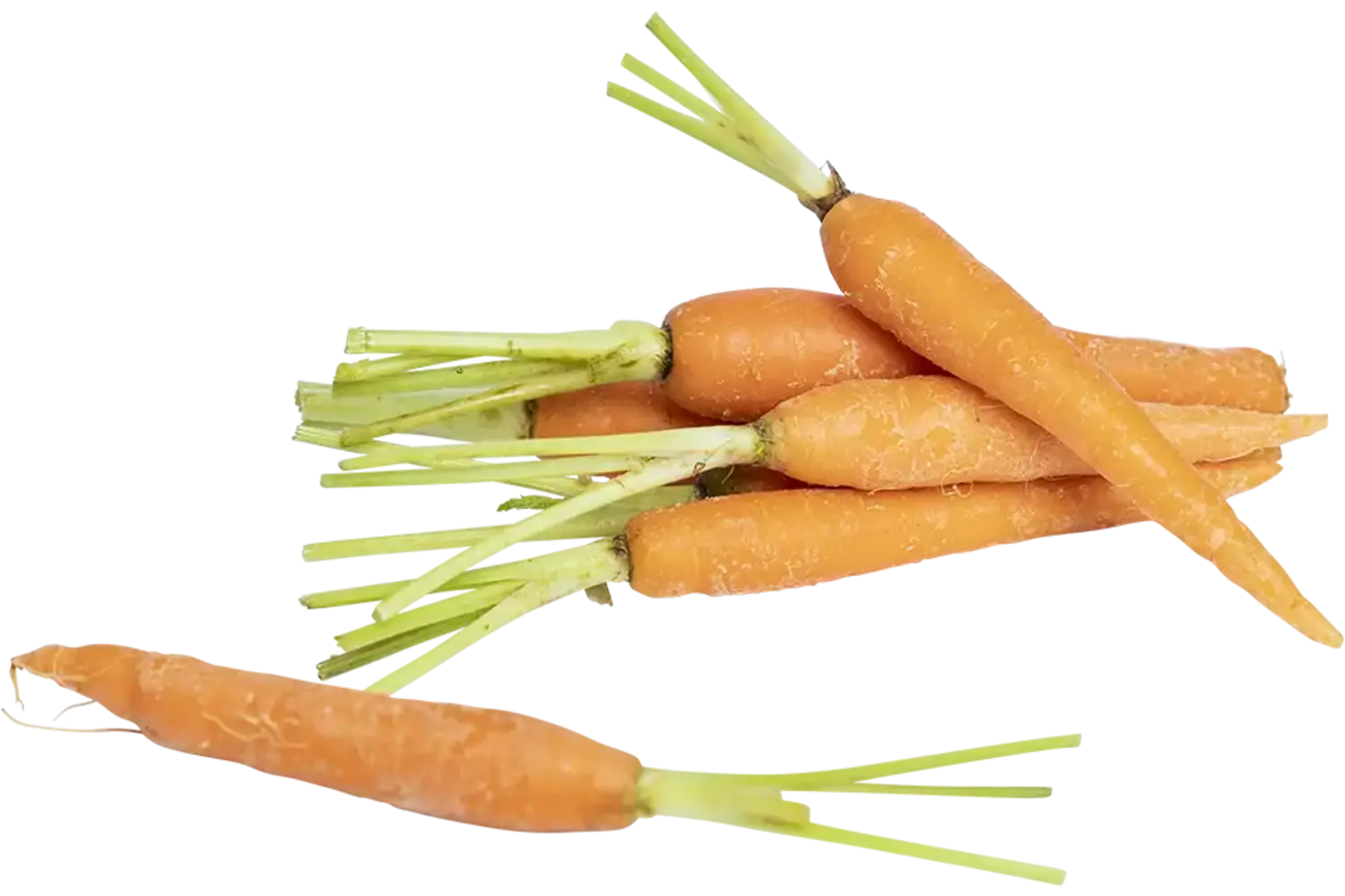 Mini bospeen 1kg