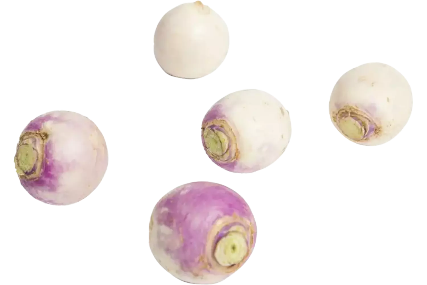 Mini meiknollen 200gr stuk
