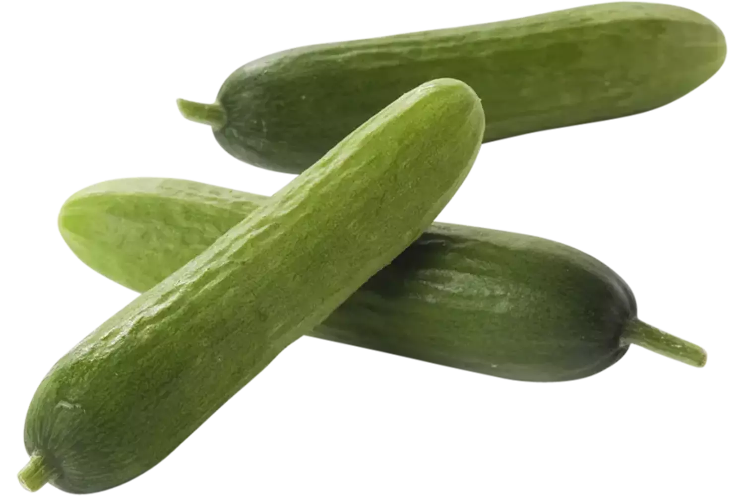 Mini snackkomkommers 9-11cm 27-45gr kist 100 stuks