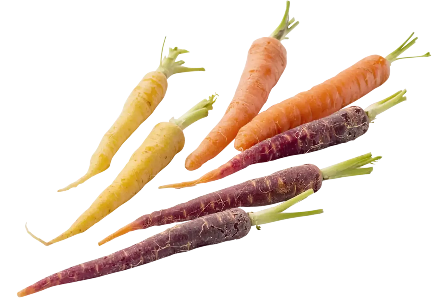 Mini bospeen rainbow (3 kleuren) 200gr stuk