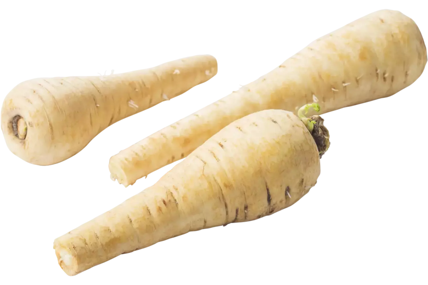 Mini pastinaken los