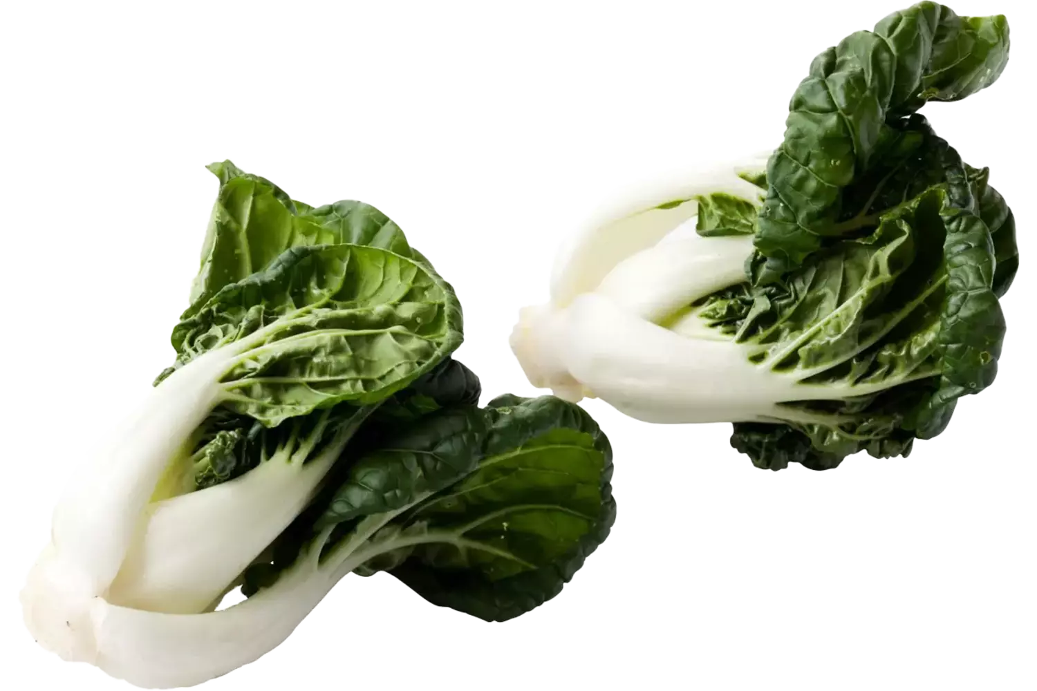 Mini paksoi (bokchoi)
