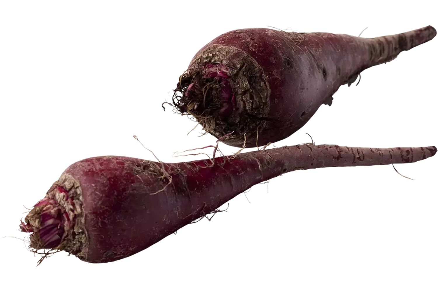 Beetroot big crade 5 kilo