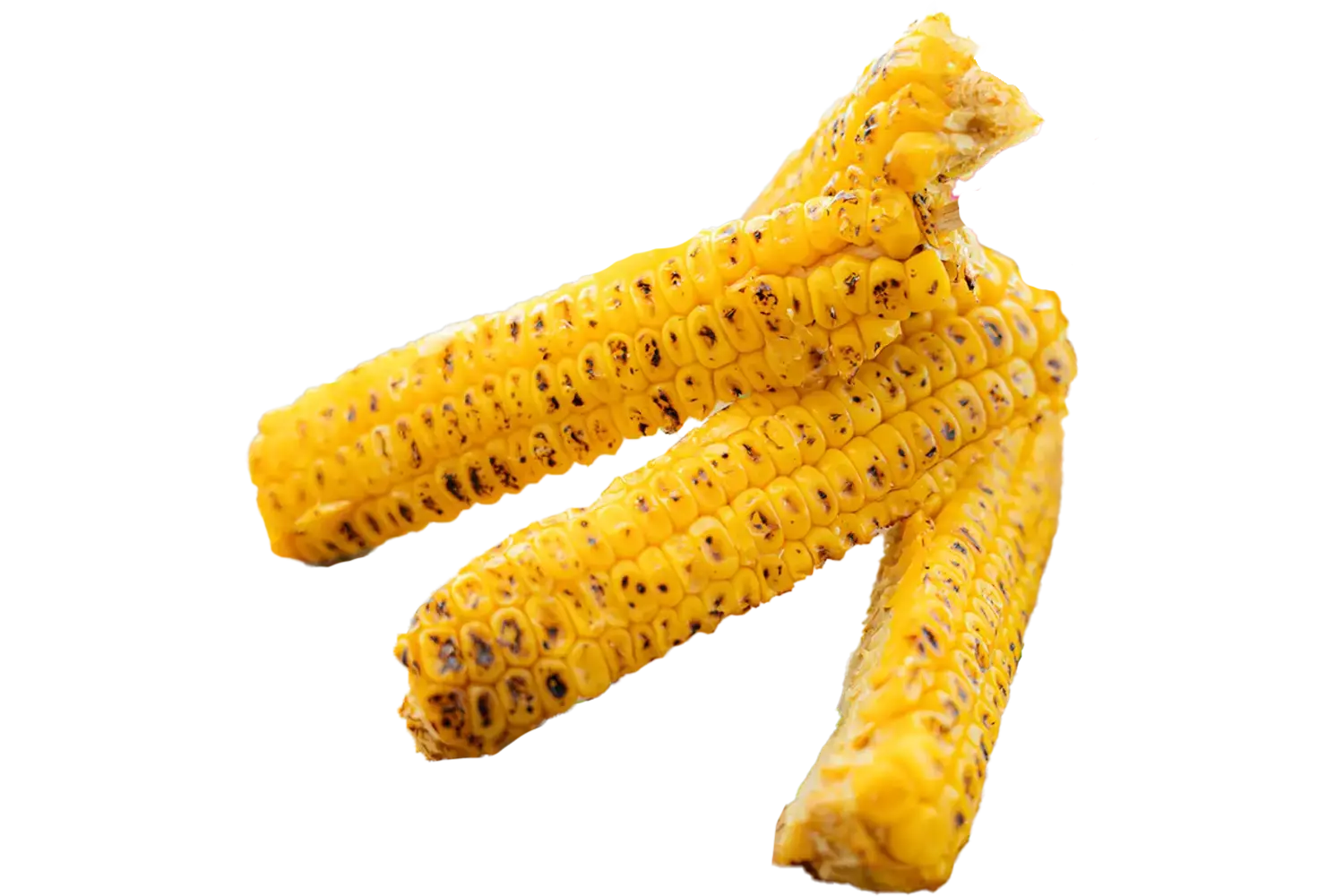Corn rib roasted 500gr kist 14 stuks