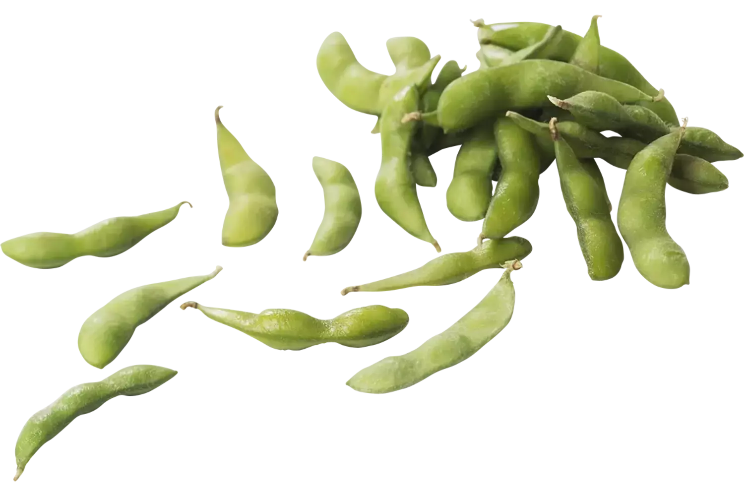 Edamame bonen ongepeld (diepvries) 500gr kist 10 stuks