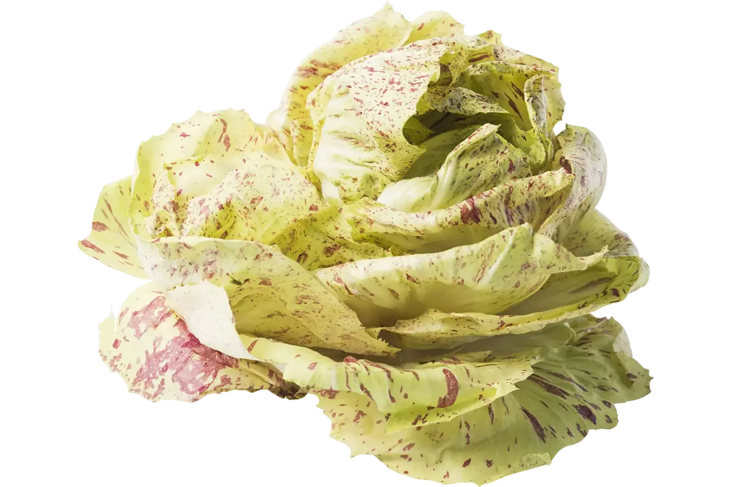 Castelfranco kist 2 kilogram