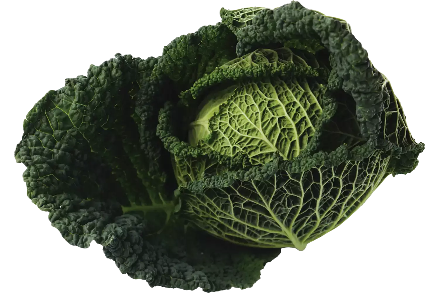 Groene kool +-- 1,3kg stuk