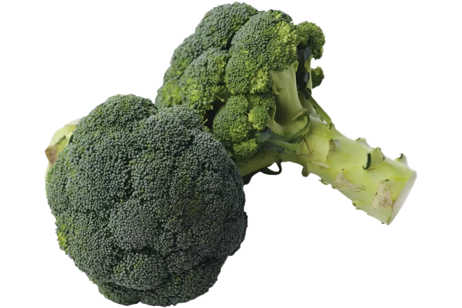 Broccoli +-- 500gr stuk