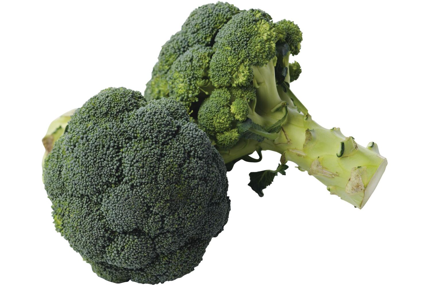 Broccoli +-- 500gr stuk 1