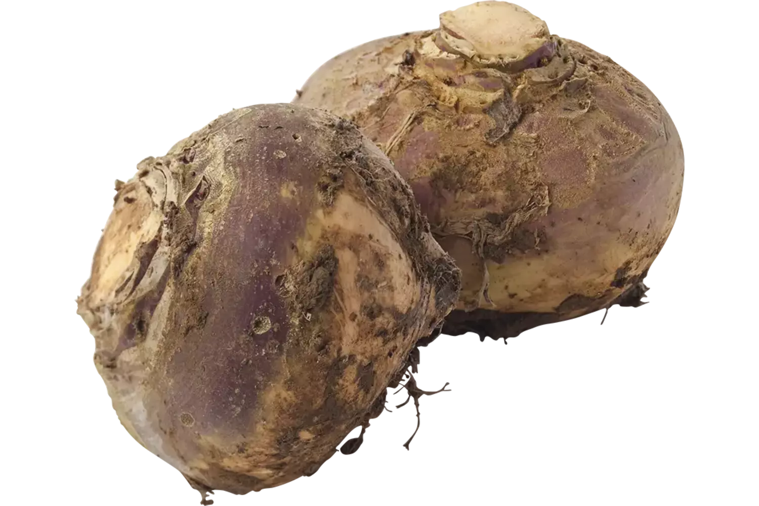 Koolraap +-- 1kg