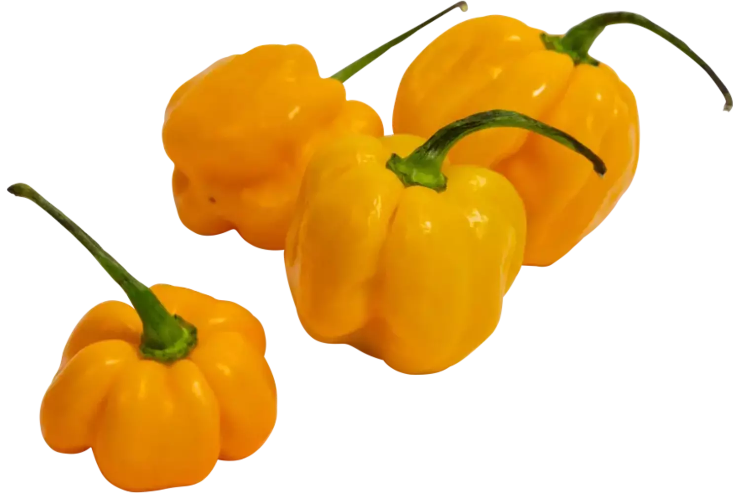 Madame jeanet pepers geel verpakt 250gr stuk