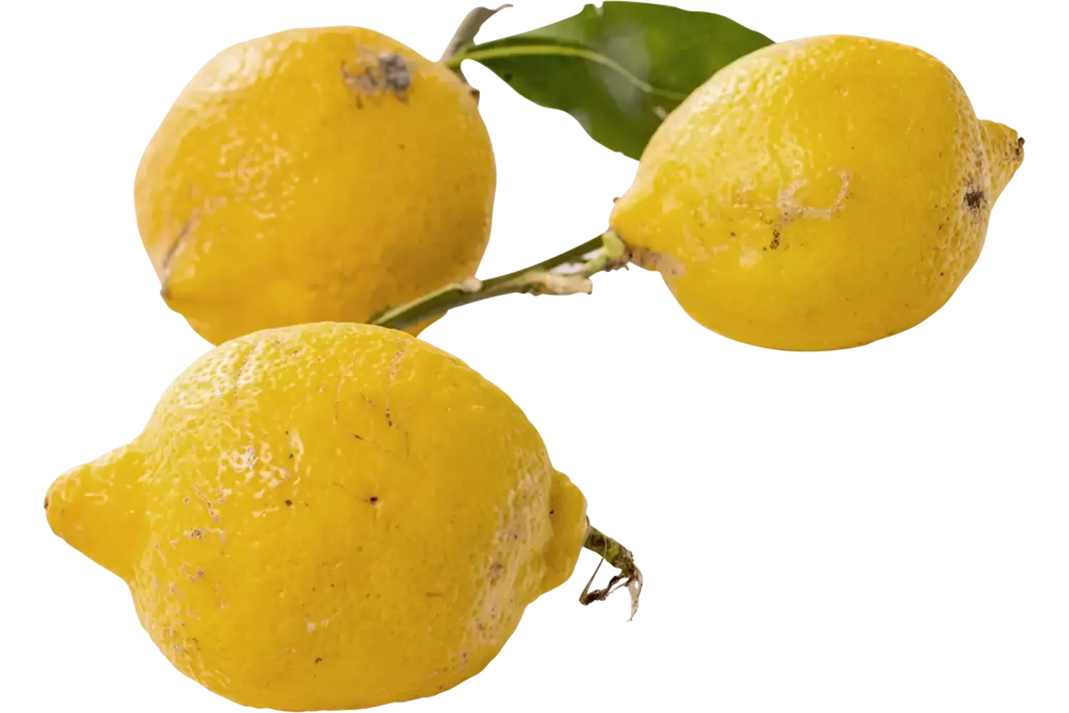 Amalfi citroenen verpakt 500gr stuk