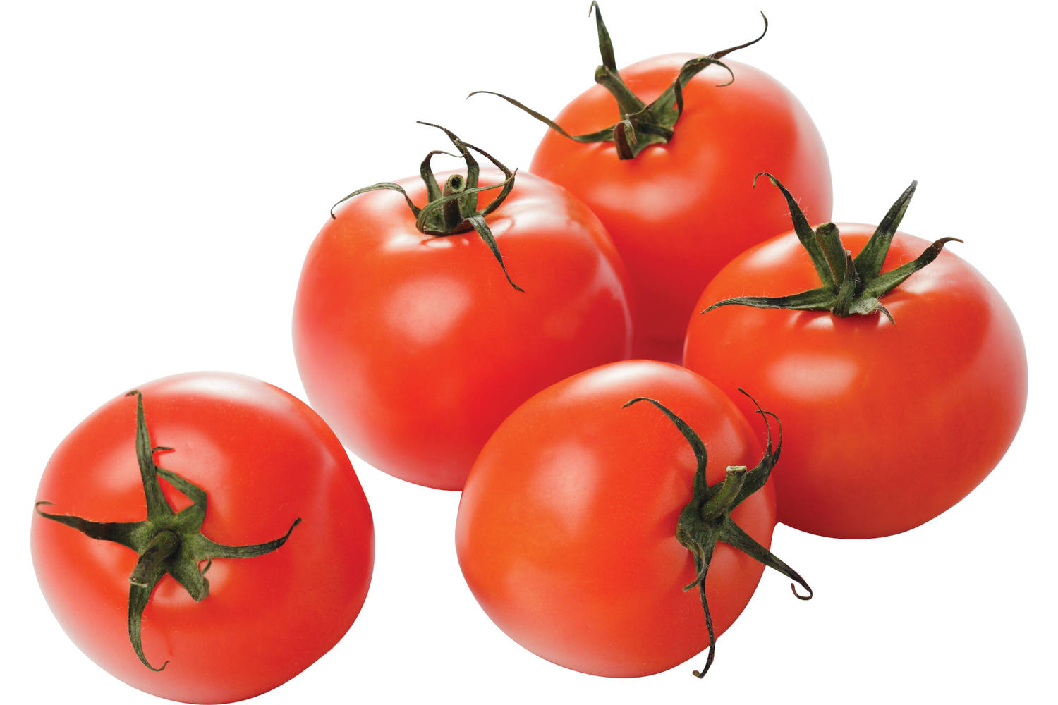 Tomaten B verpakt 1kg stuk 1