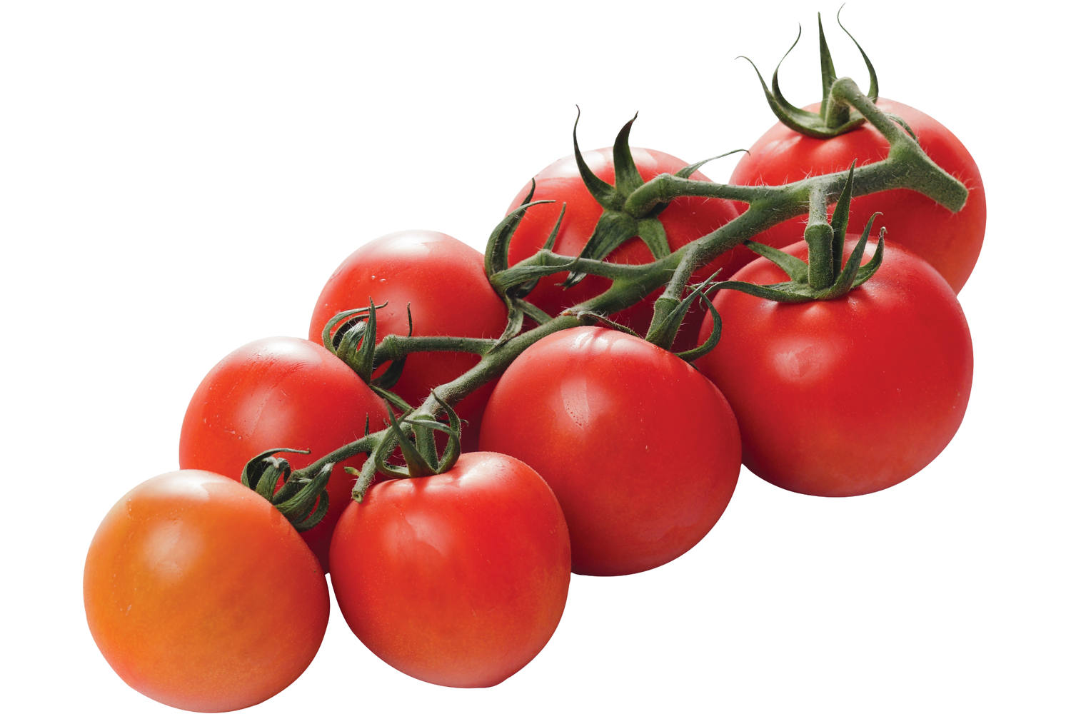 Tasty tom tomaten verpakt 500gr kist 7 stuks 1