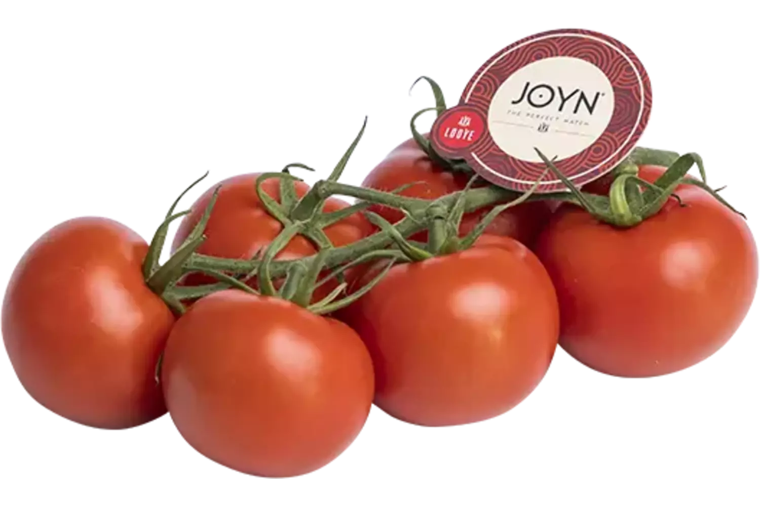 Joyn Tomatoes