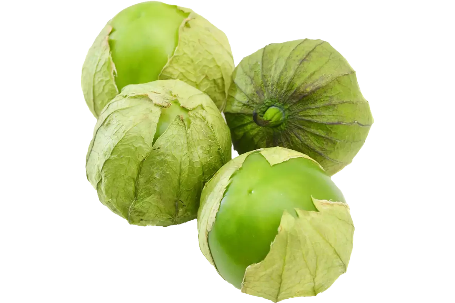 Tomatillo doos 2kg