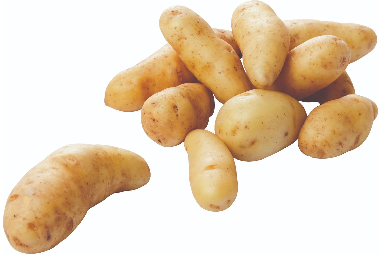 La Ratte aardappelen 1kg kist 10 stuks 1