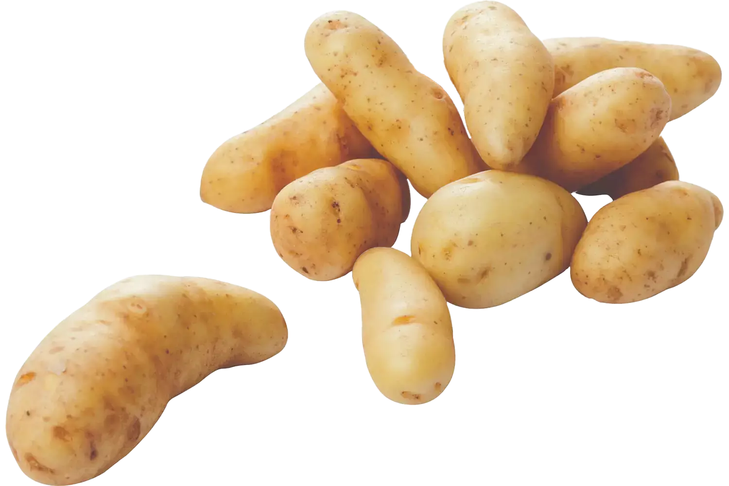 La Ratte aardappelen 1kg stuk