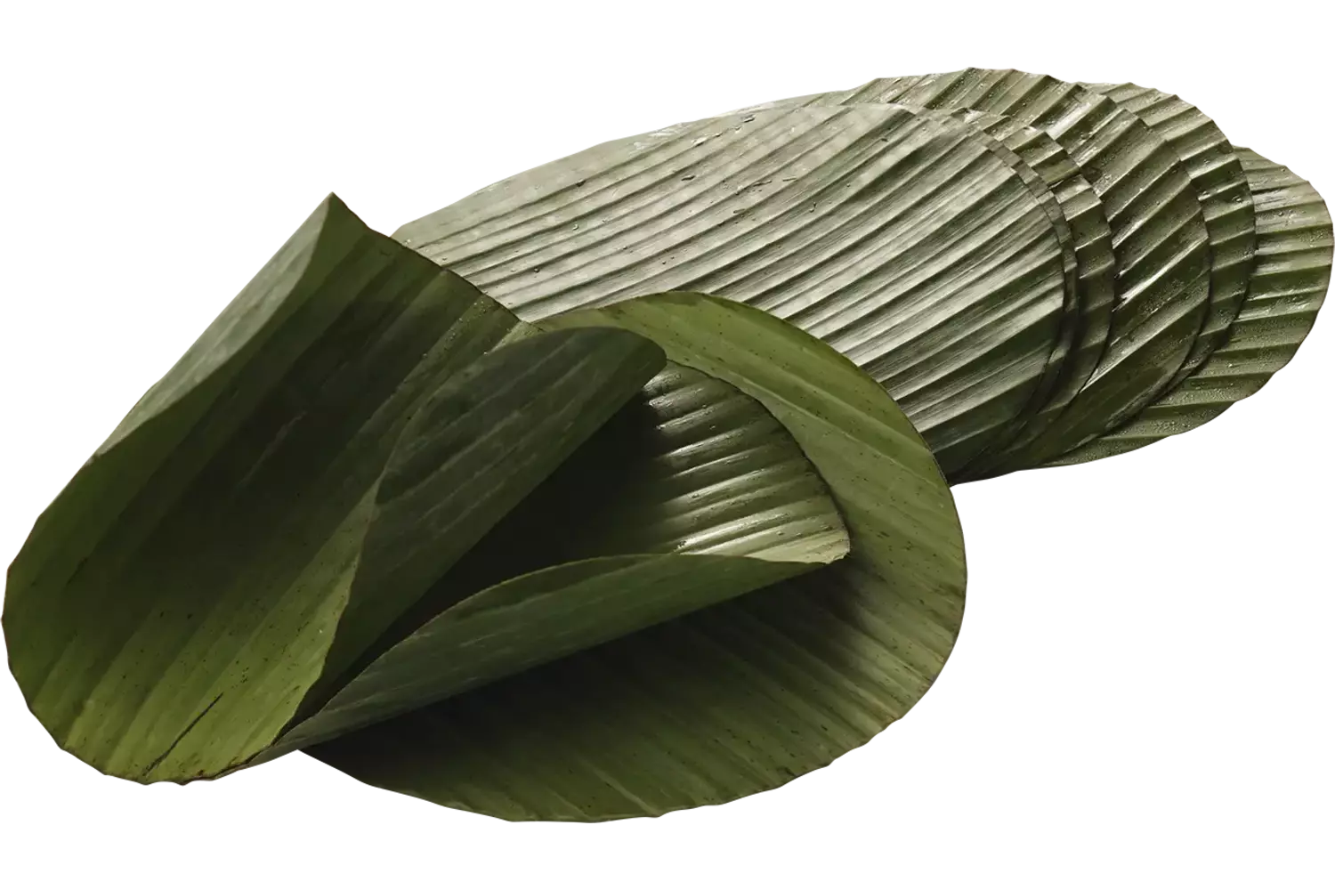 Bananenblad rond 20cm 500gr stuk