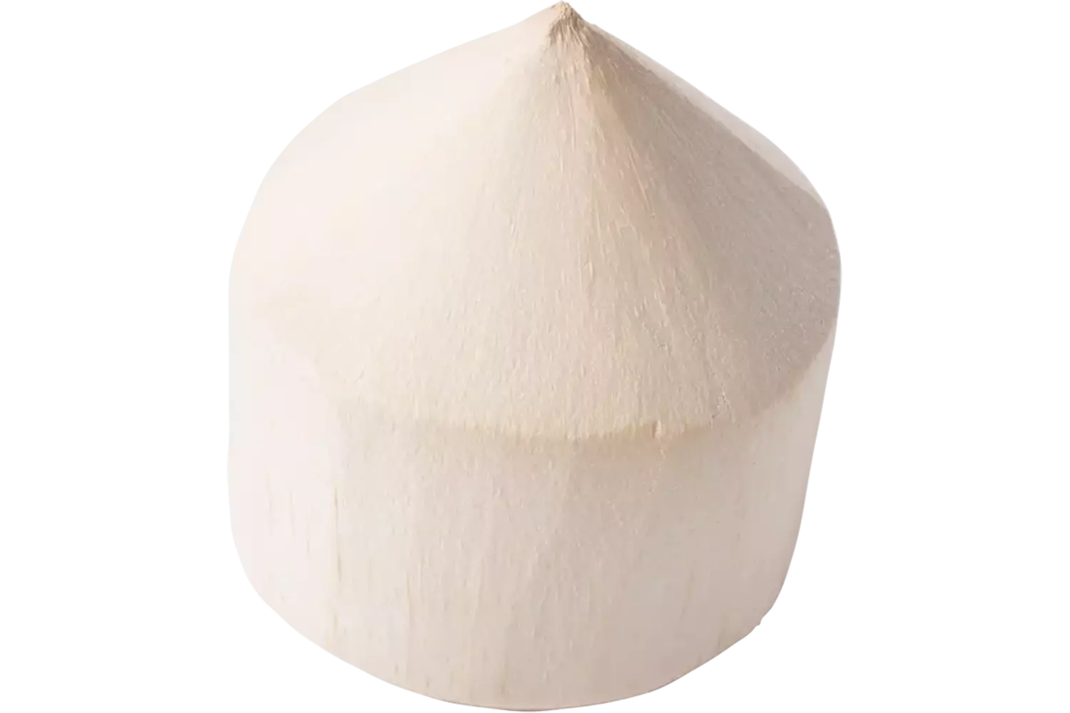 Drinking coconut piece