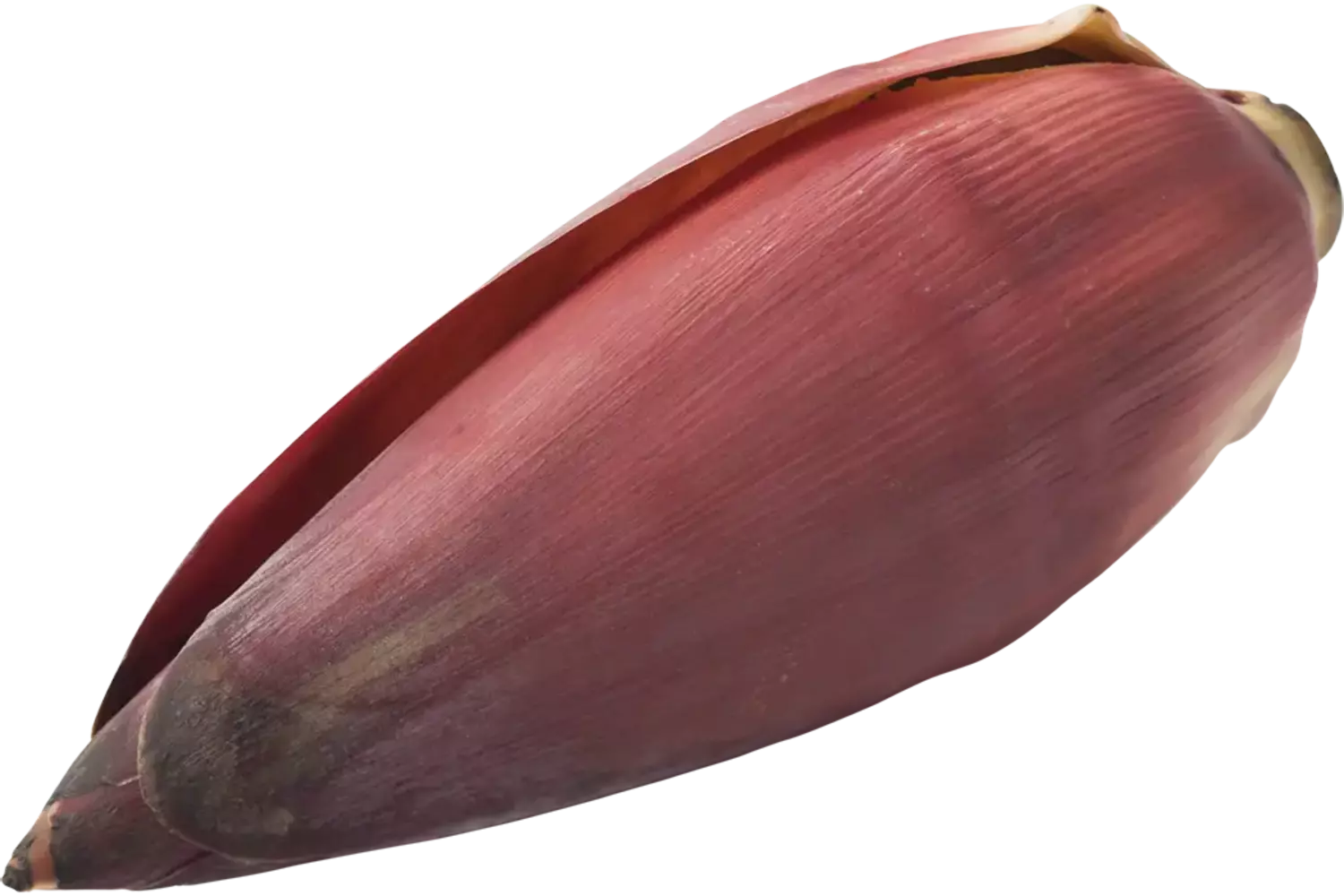 Bananenbloem kist 2 kilogram