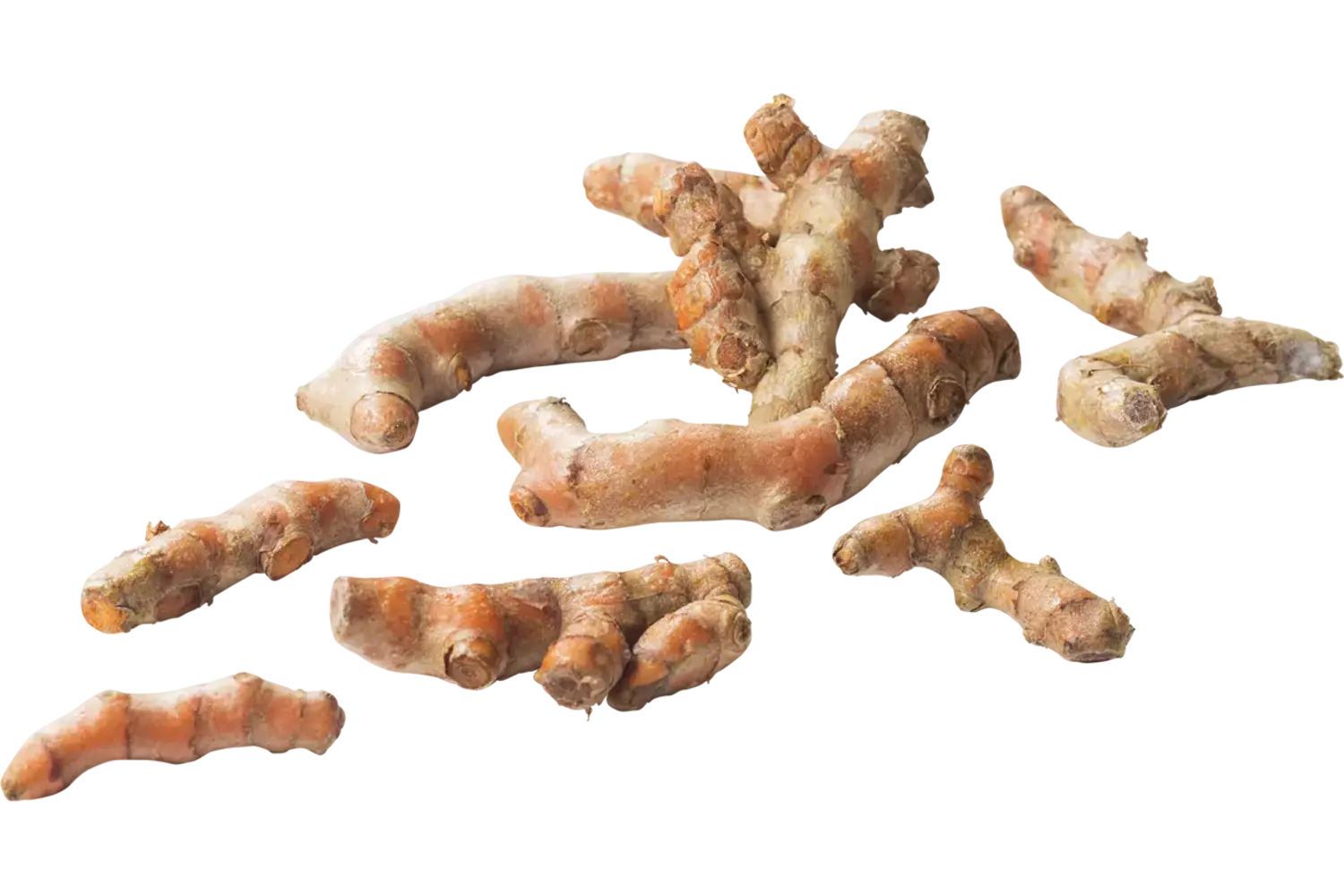 BIO kurkuma (turmeric) kist 2 kilogram