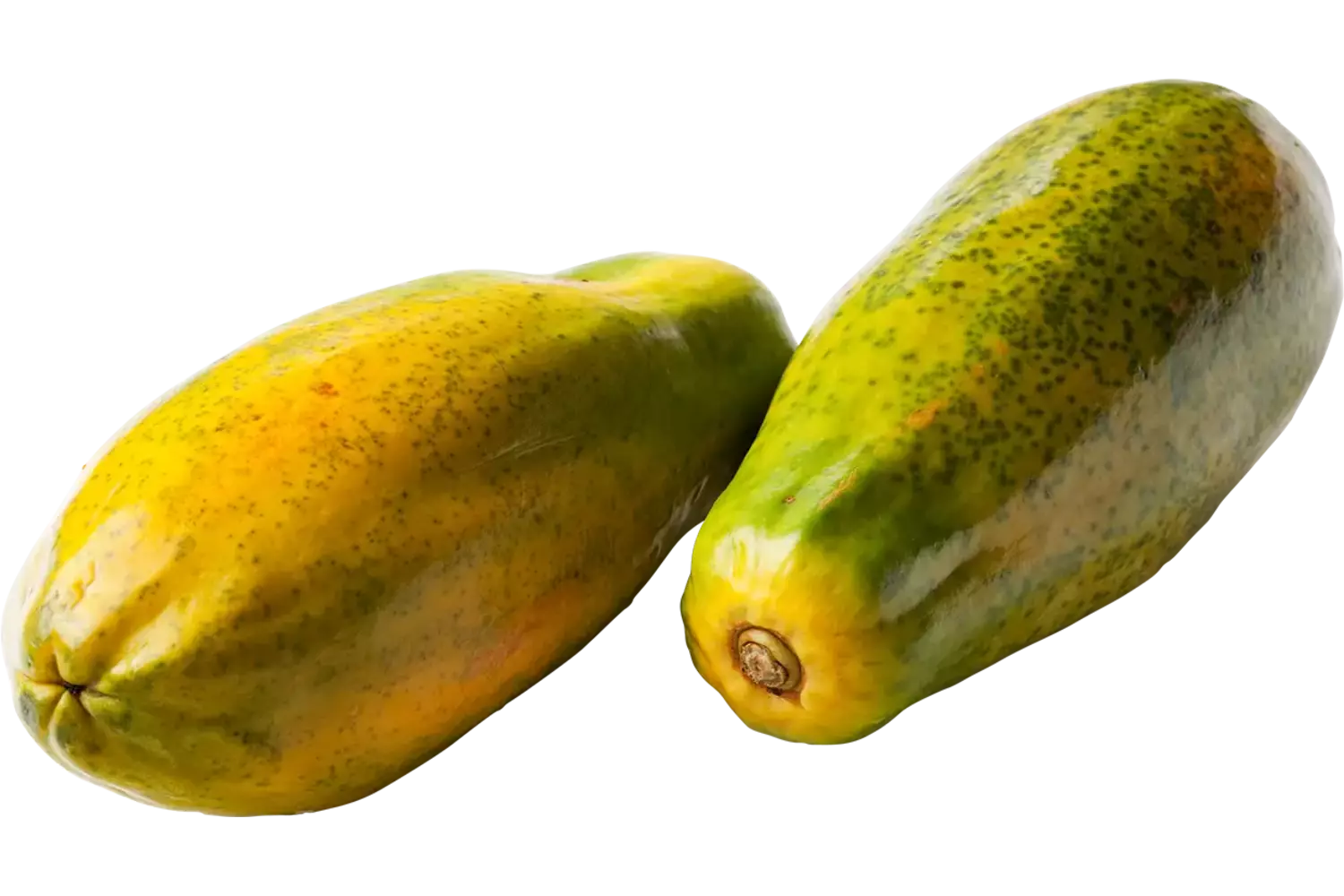 Papaya formosa by air kist 3 stuks