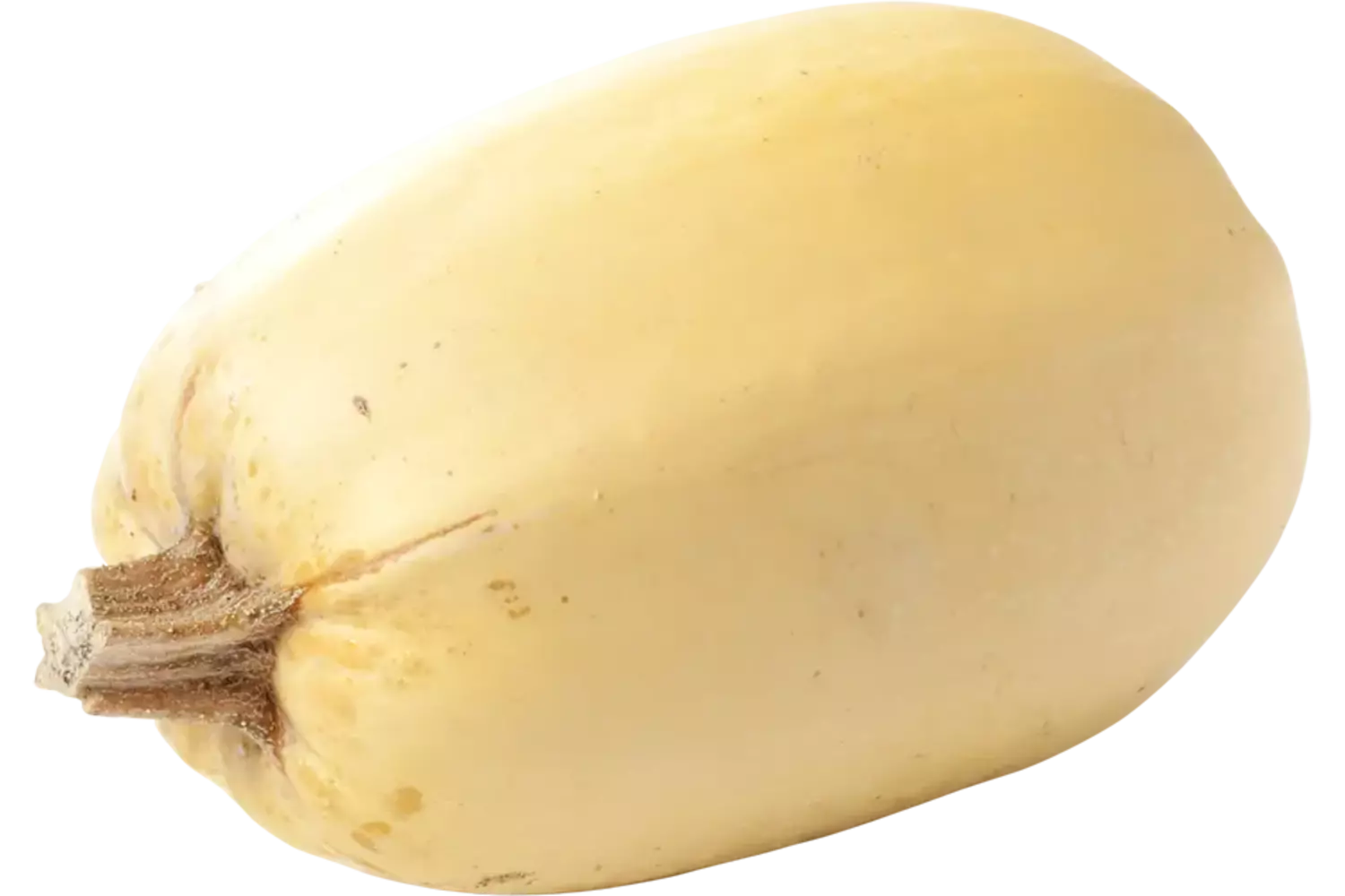 Pompoen spaghetti kist 1 stuk