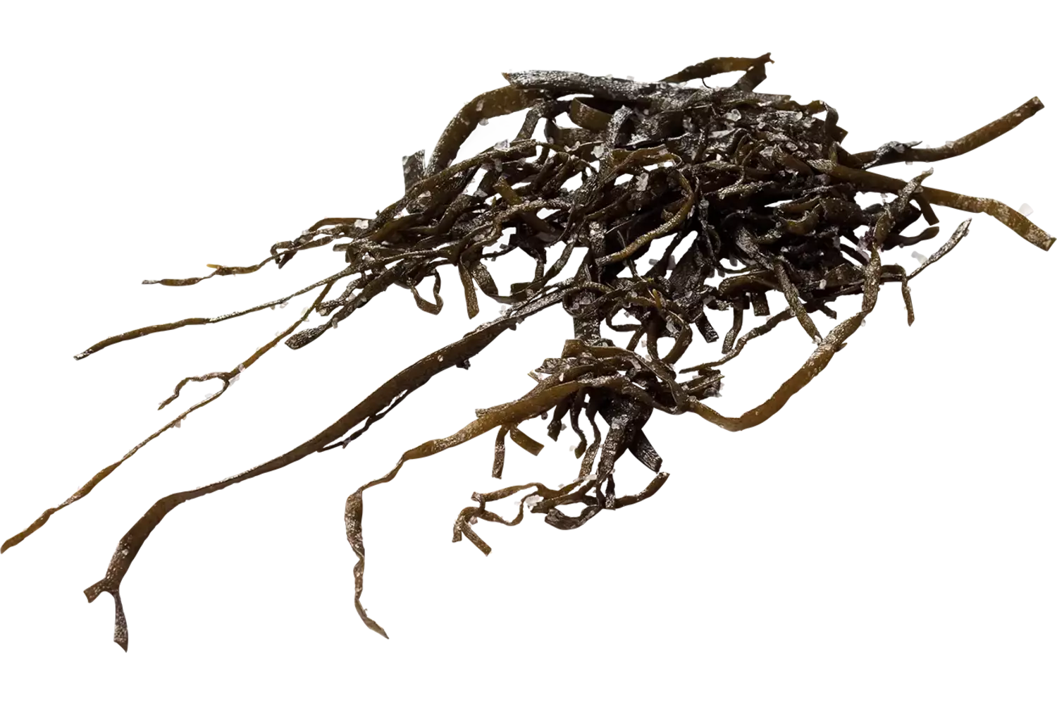 Algues 250g pièce