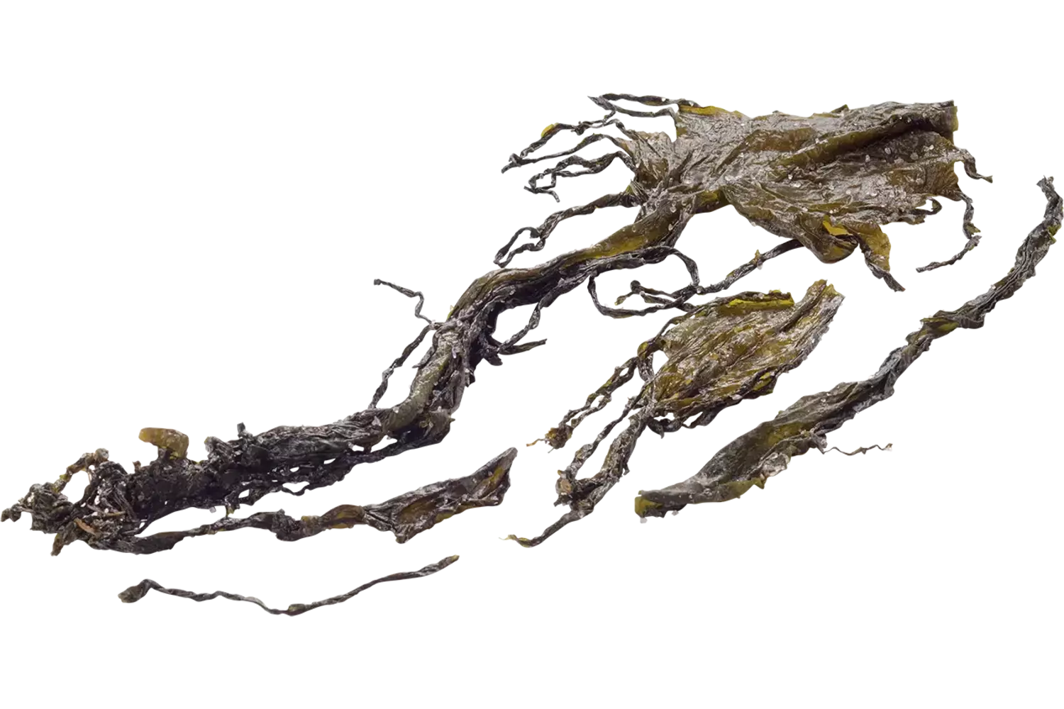 Kombu Royal (Sugar seaweed) 250gr piece