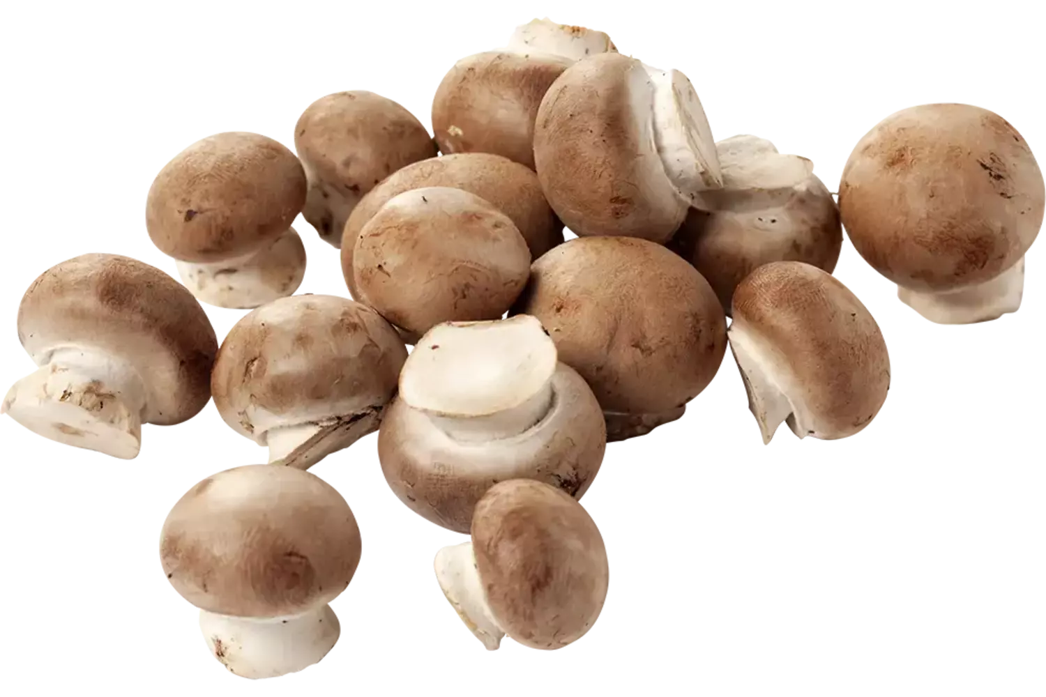 Mini kastanje champignons los kist 4 kilogram