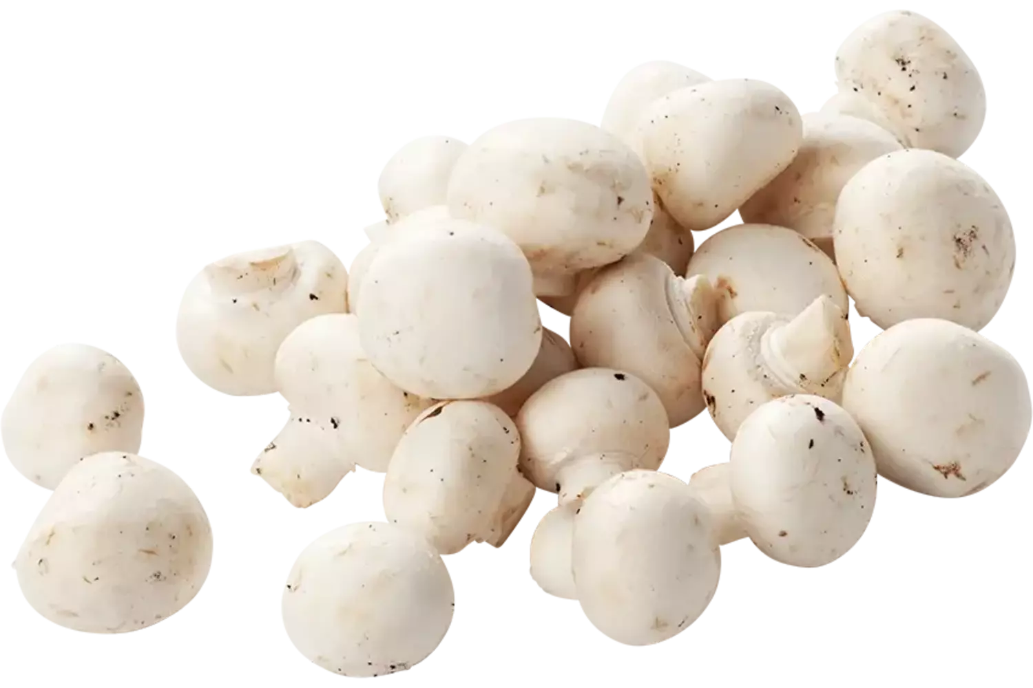 Mini champignons caisse 4kg