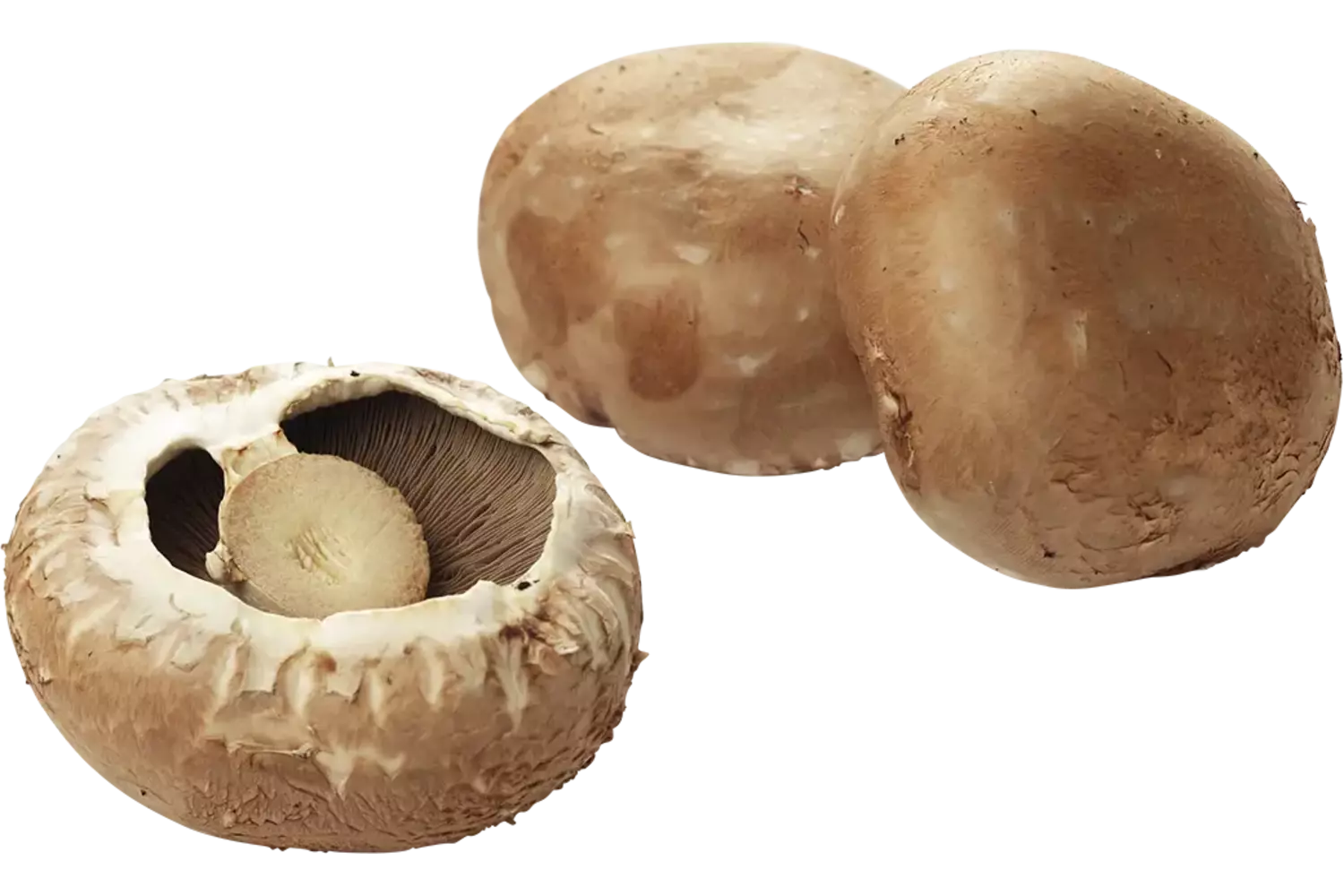 Portobello los kist 2 kilogram