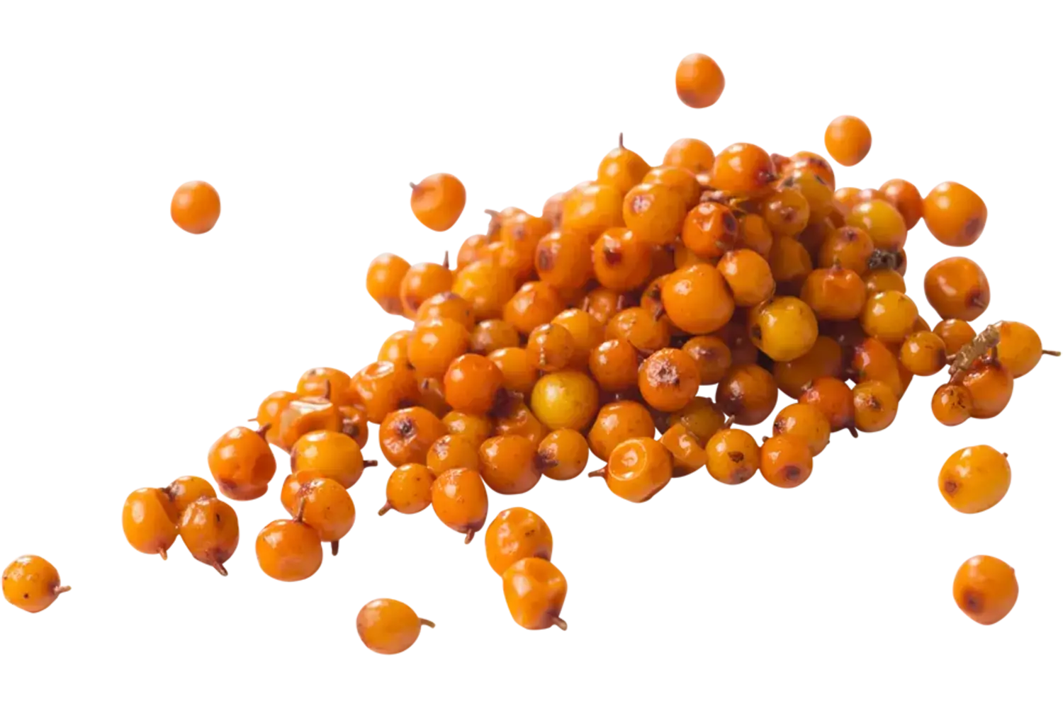 Duindoornbessen (diepvries) 500gr stuk