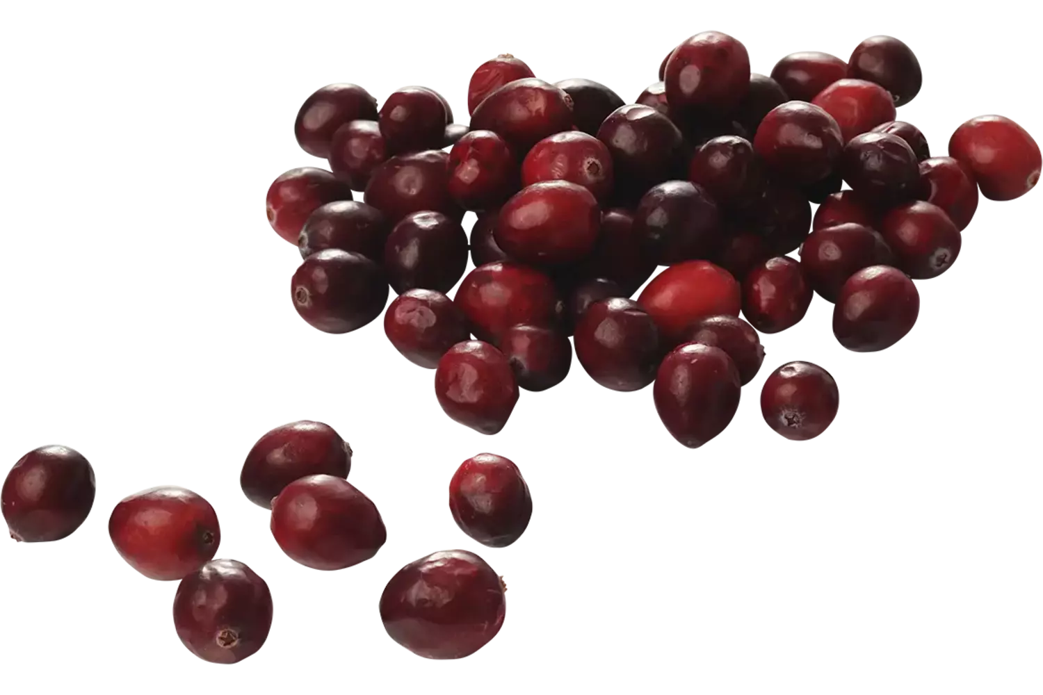Vossenbessen (diepvries) 500gr kist 8 stuks