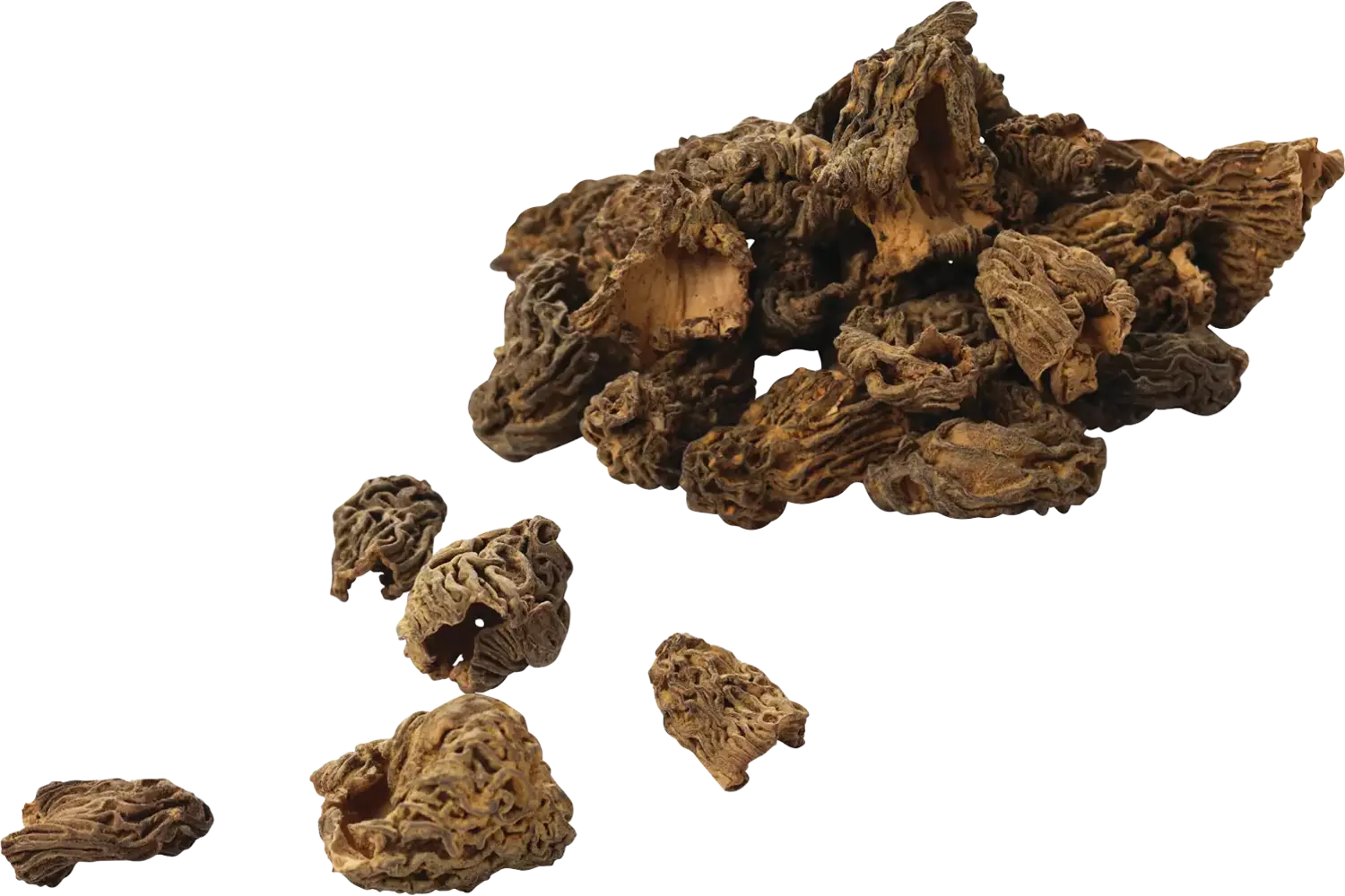 Morilles gedroogd verpakt 100gr kist 12 stuks