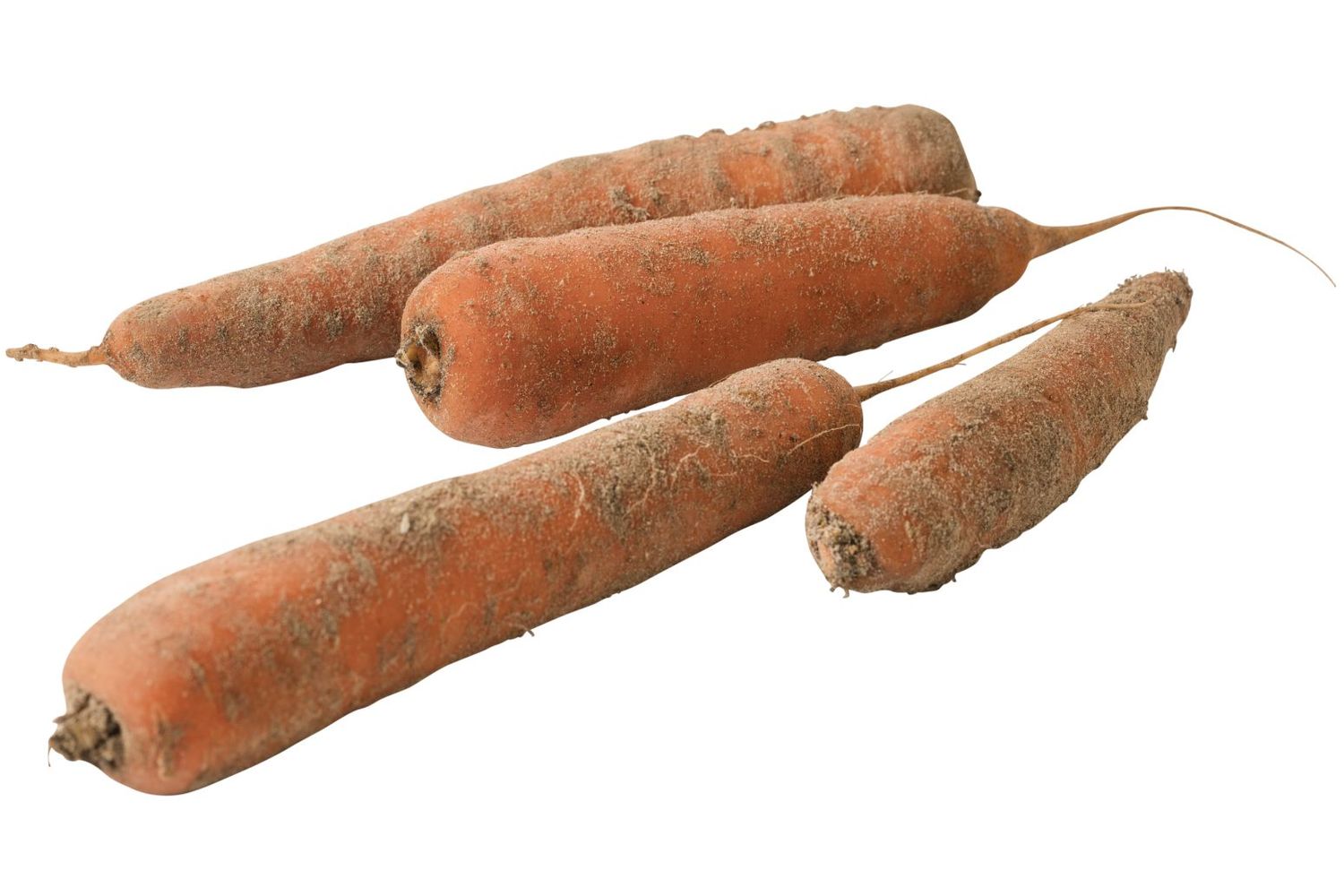 Bretonse wortelen verpakt 1kg kist 5 stuks 1