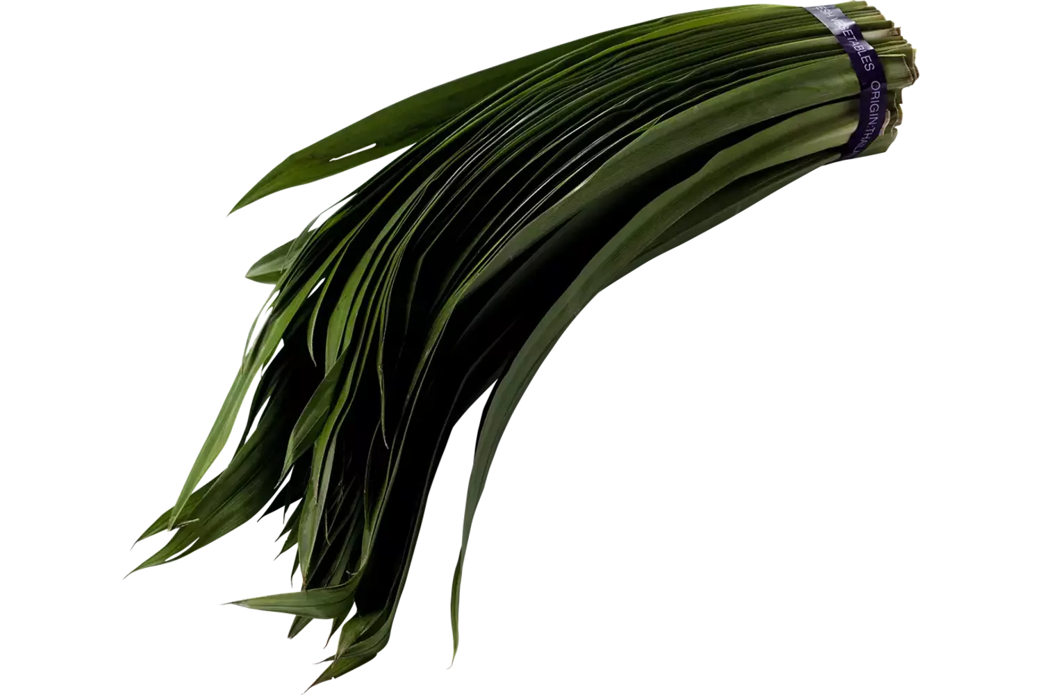 Pandan blad 250gr kist 8 stuks
