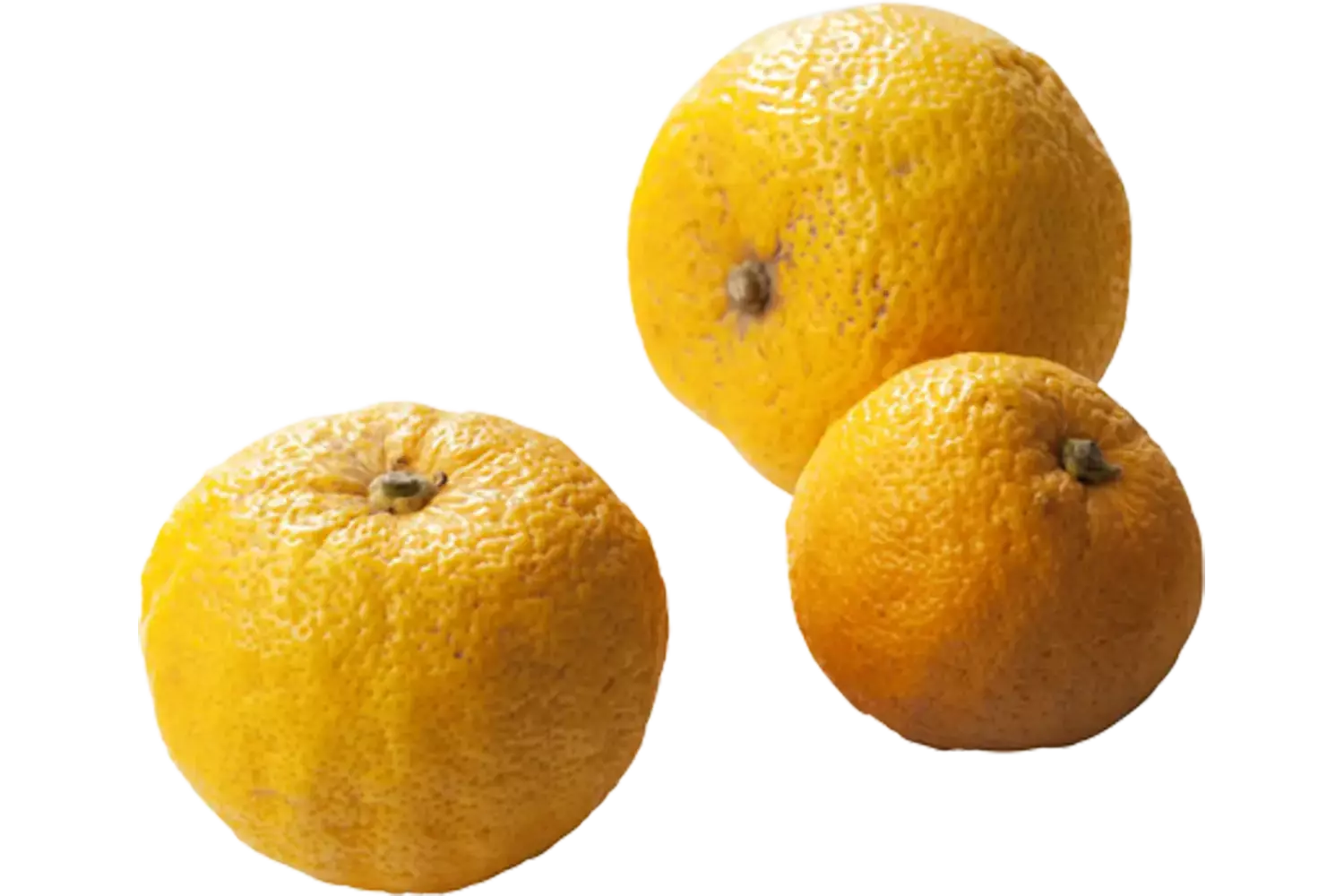 Yuzu limes 500g caisse 6pc
