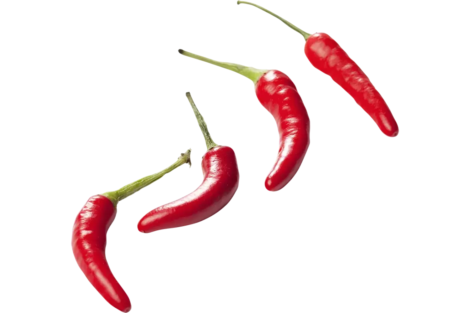 Rawit rood verpakt 100gr