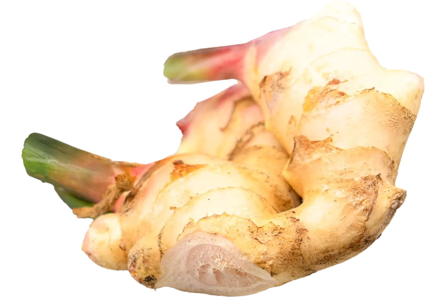 Gember vers verpakt 1kg stuk