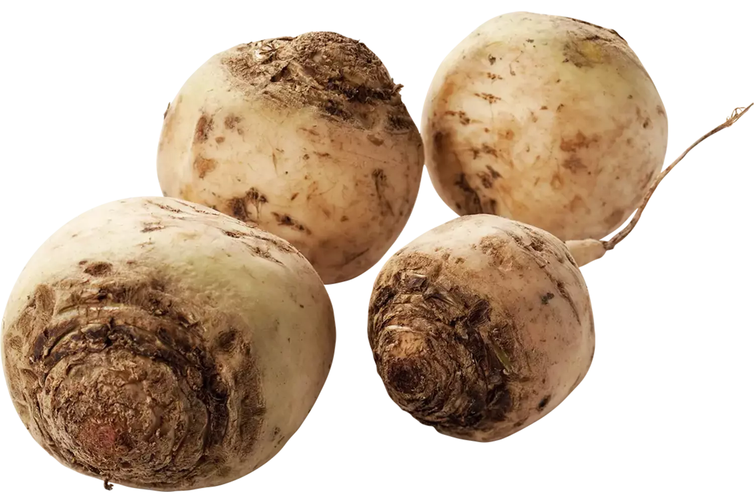 Bieten wit verpakt 1kg kist 5 stuks