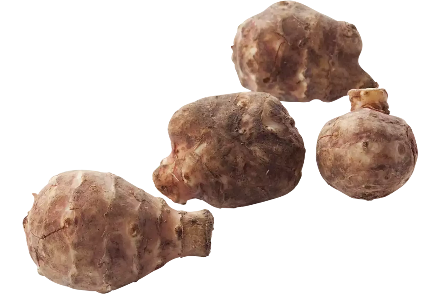 Topinamboer - aardperen verpakt 1kg