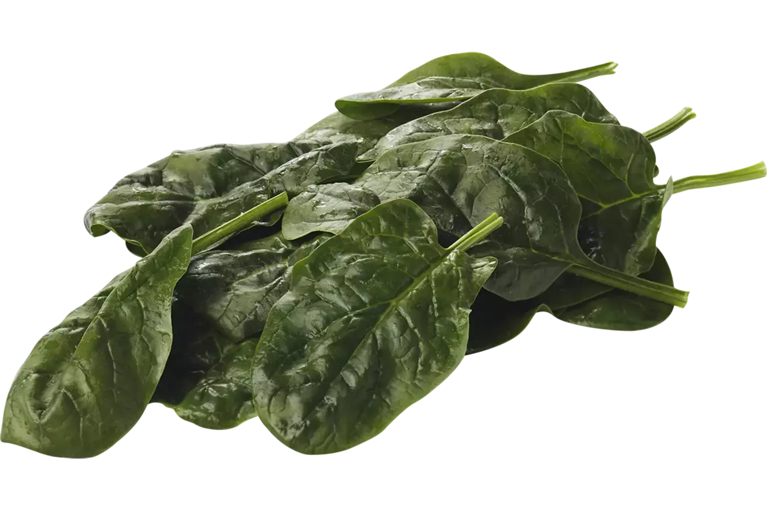 Spinazie verpakt 1kg stuk