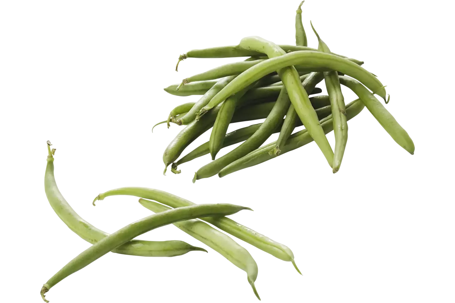 Sperziebonen verpakt 500gr stuk