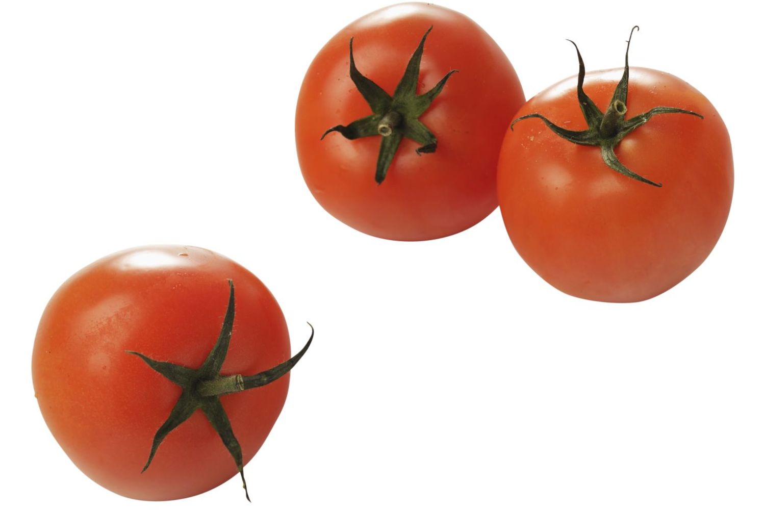 Tomaten C verpakt 500gr kist 7 stuks 1