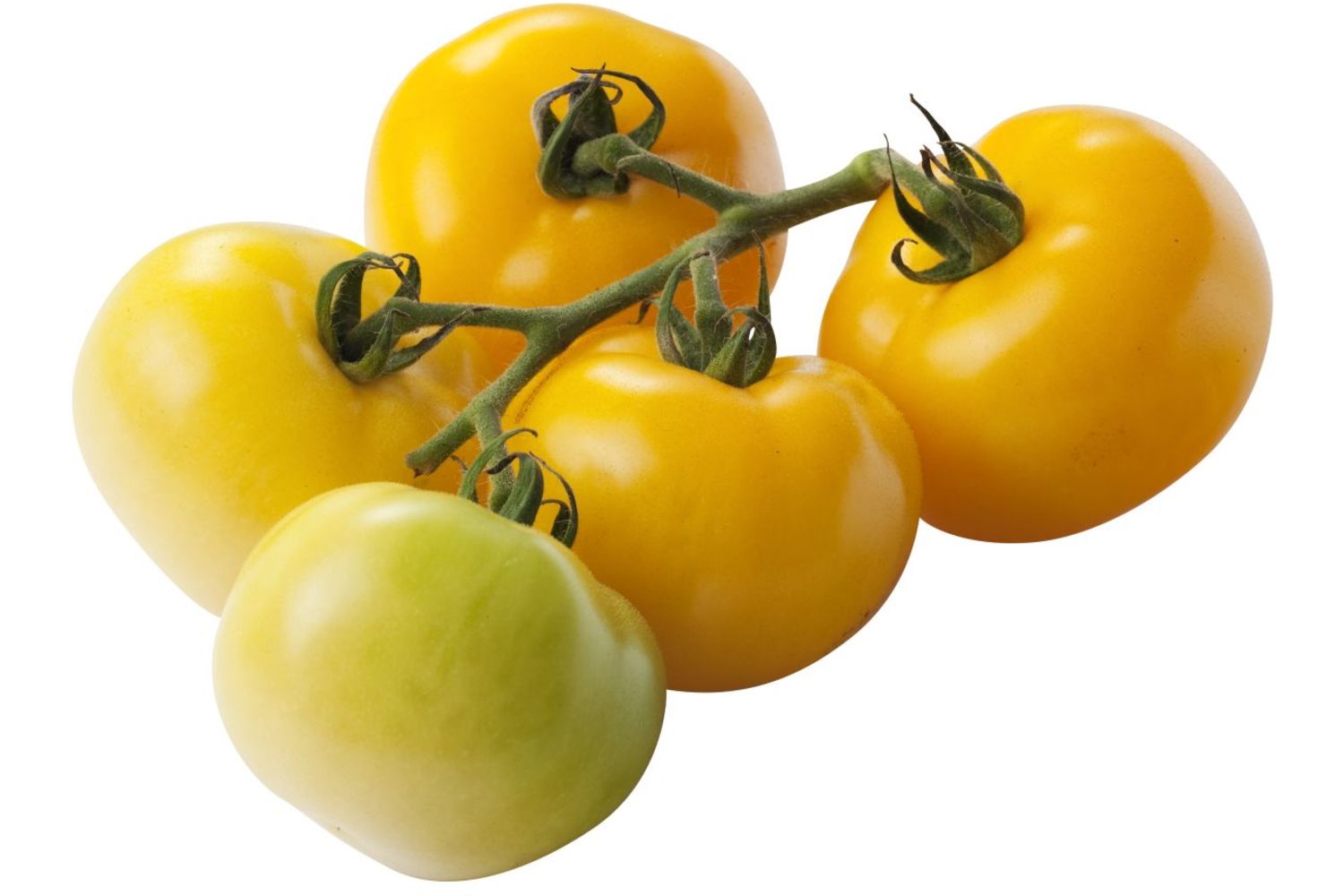 Tomaten geel verpakt 1kg stuk 1