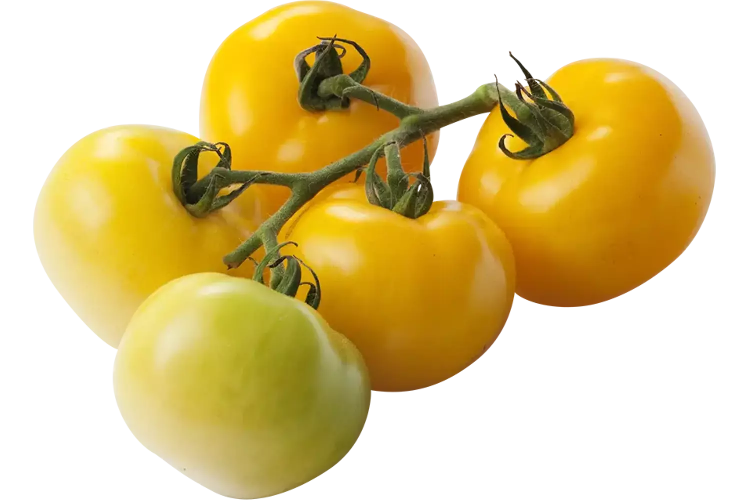 Tomates jaunes 1kg caisse 5pc