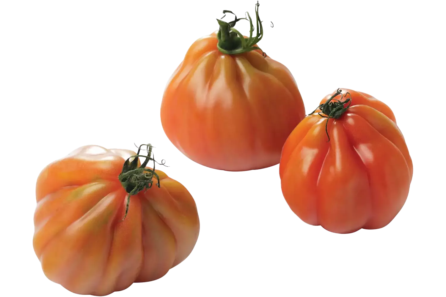 Tomate coeur de boeuf 500g pièce