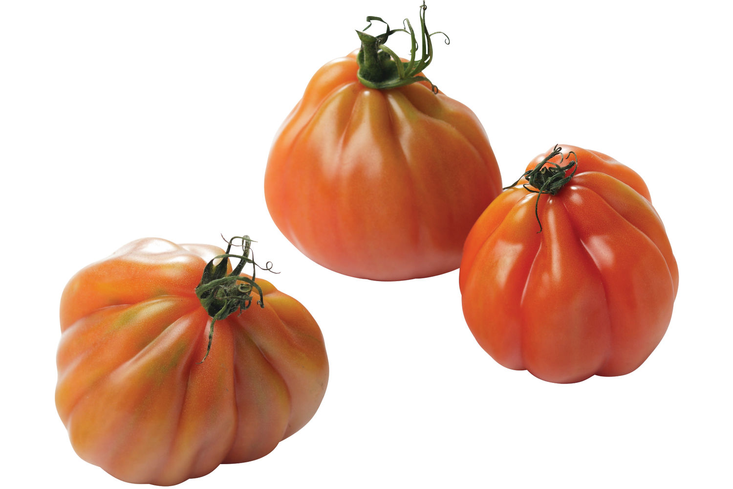 Coeur de boeuf tomaat verpakt 500gr stuk 1